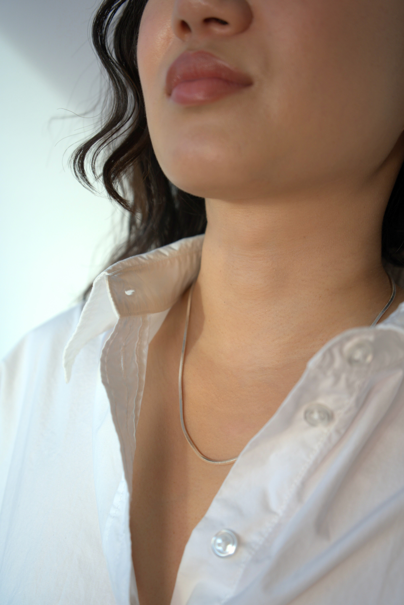 Square Snake Silver Necklace