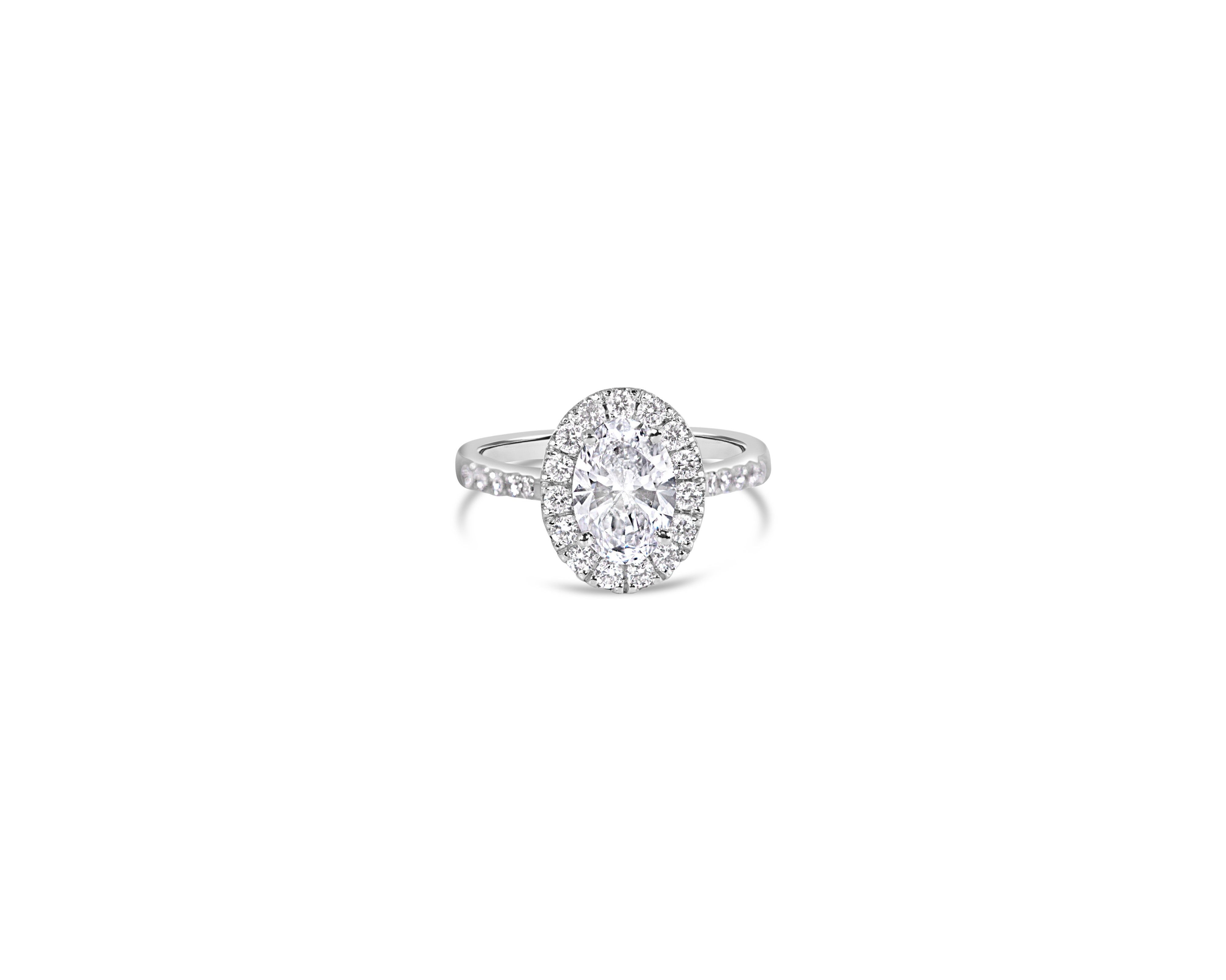 "Halo Hailey" Oval Halo Ring with Pavé Band